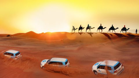 All About Dubai Desert Safari — The Tourists’ Penchant
